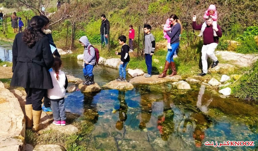 مشروع استصلاح وادي صفورية 